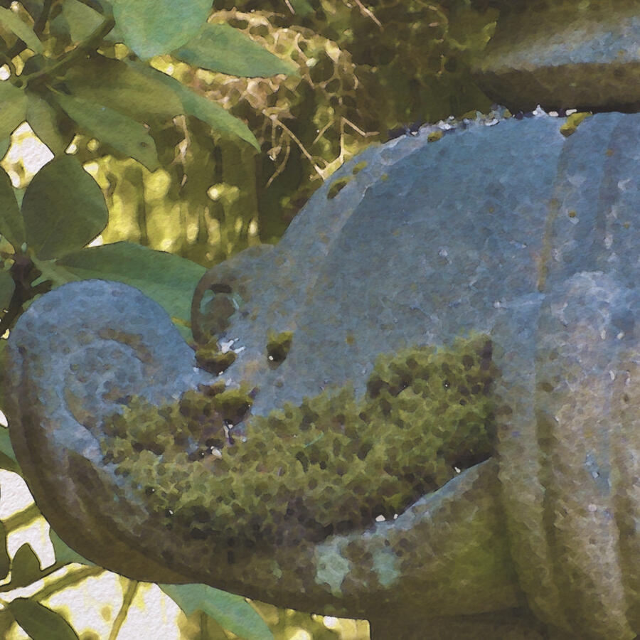 Digital, 2016