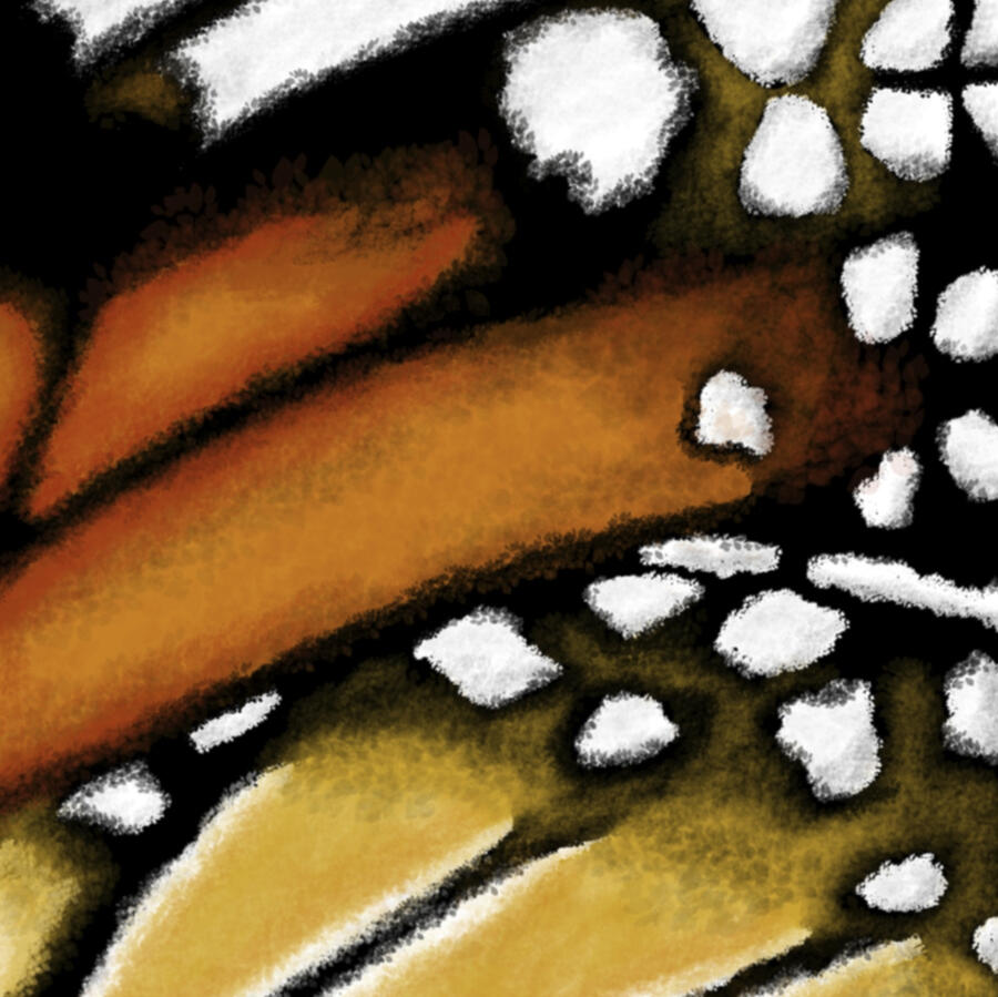 Digital in Photoshop, 2019