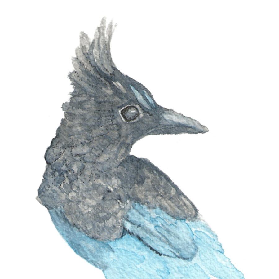 Watercolor on paper, 2021