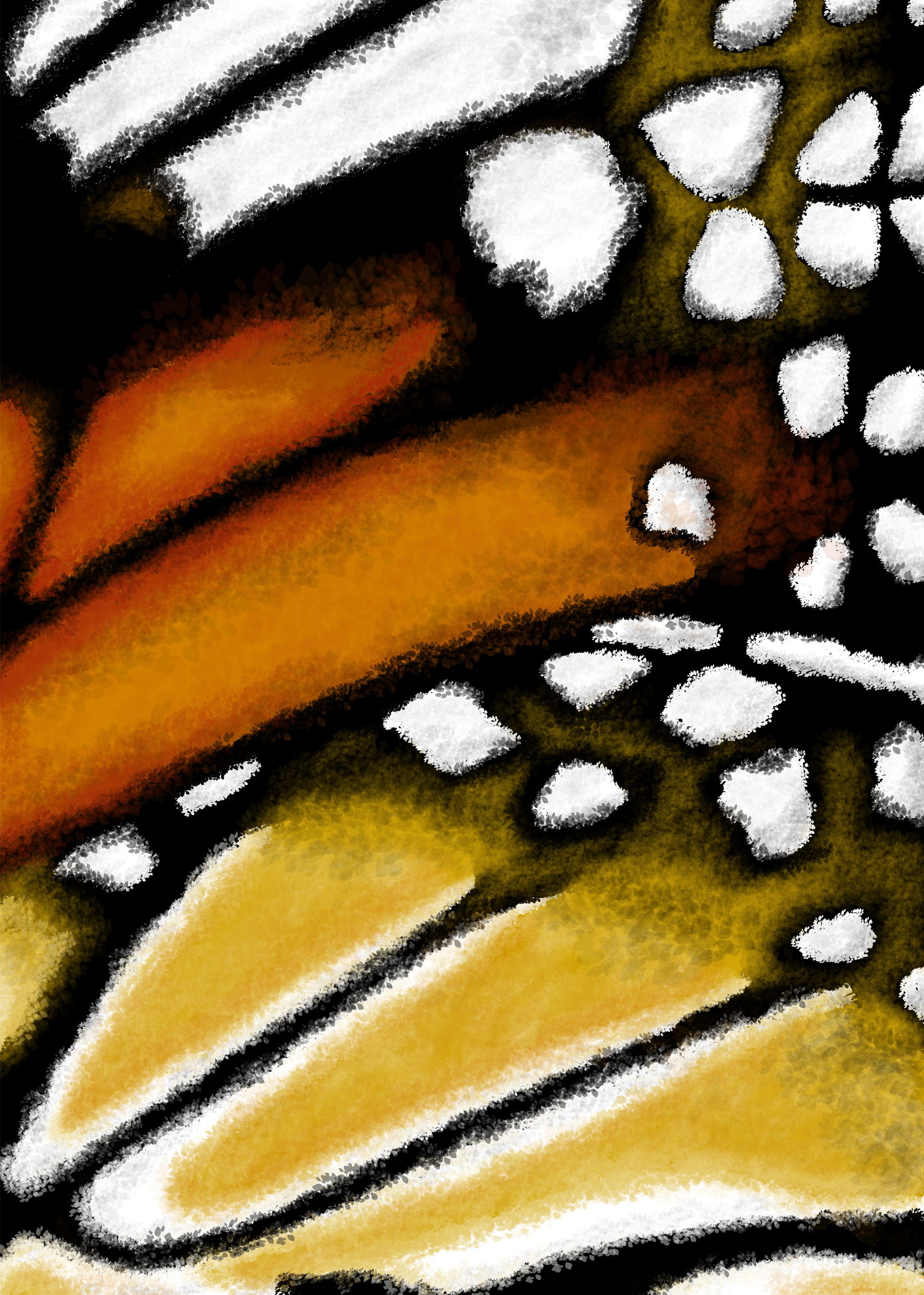 My study of a monarch butterfly wing from 2020.